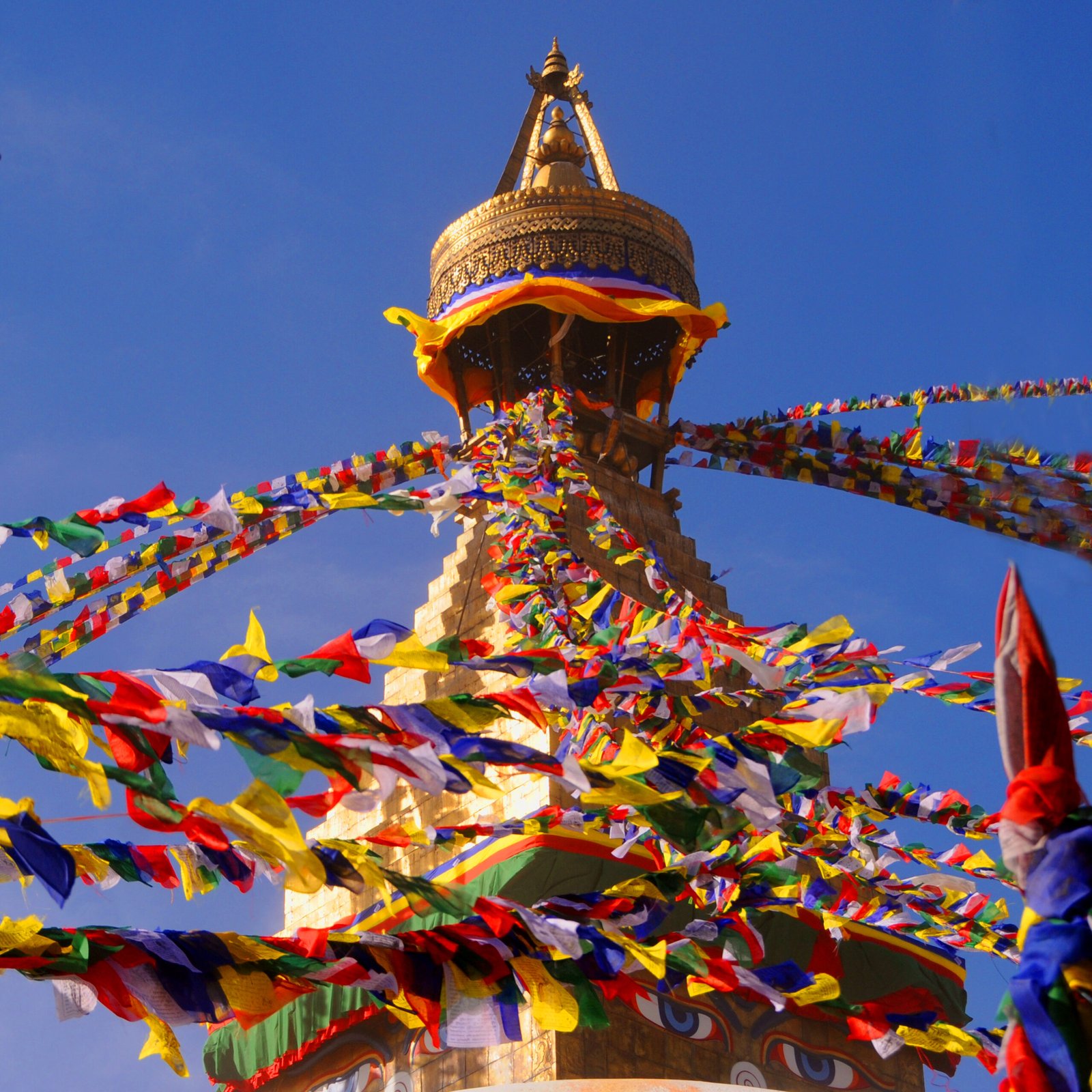Royal Nepal Discovery 3