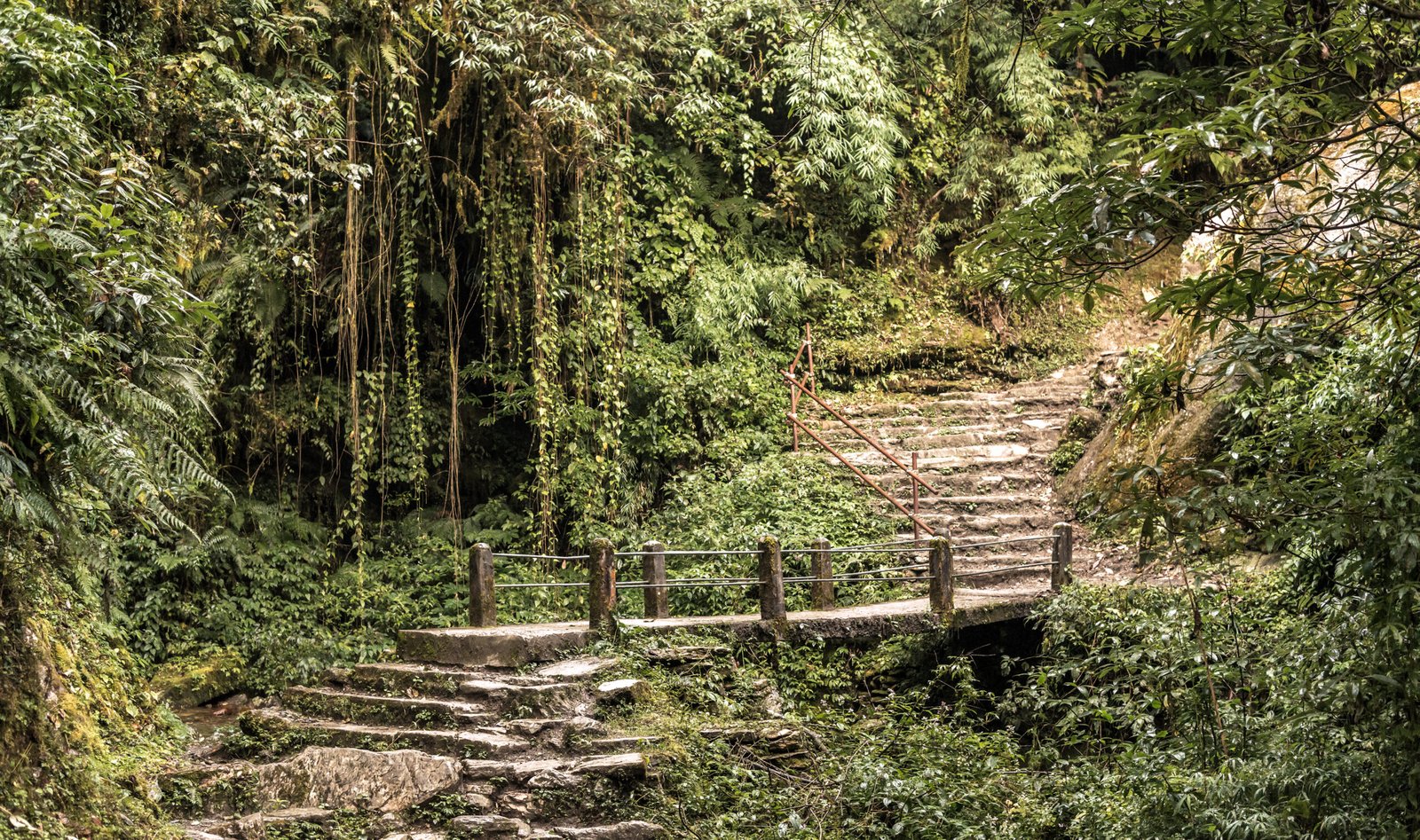 Enchanting Meghalaya Escape – Scotland of India Special