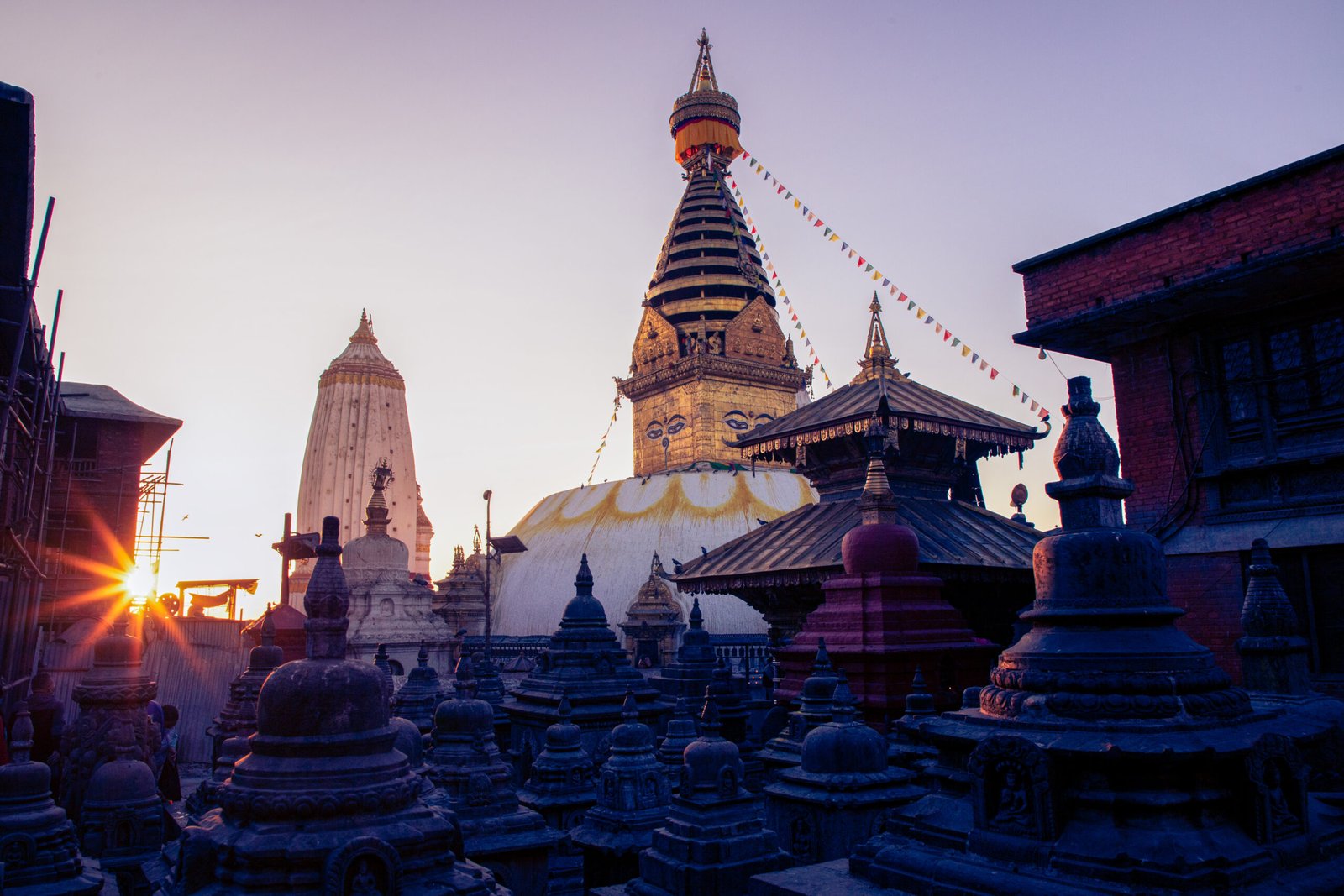 Royal Nepal Discovery