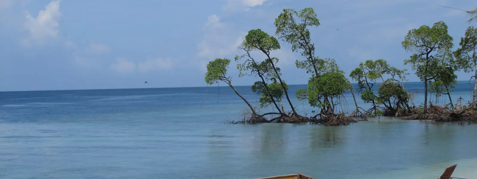 Radhanagar Beach – one of Asia's most beautiful beaches