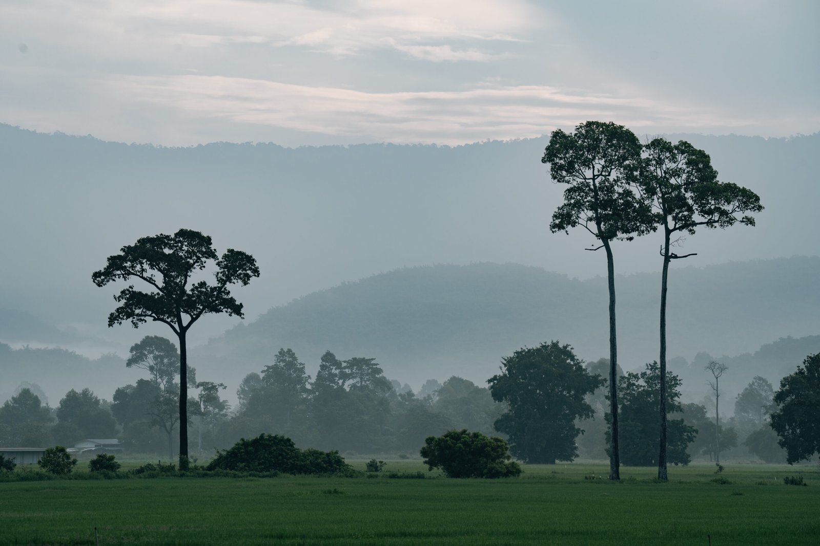 Coastal Paradise Escape – Vizag & Araku Valley