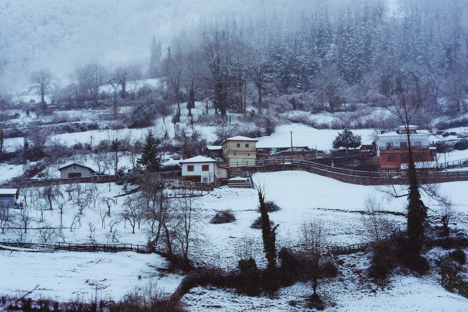 Kashmir Paradise – Srinagar, Gulmarg, Sonamarg / Pahalgam